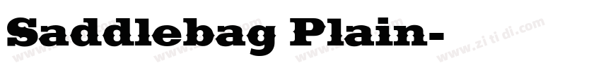 Saddlebag Plain字体转换